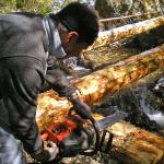 Manutenzione sentieri